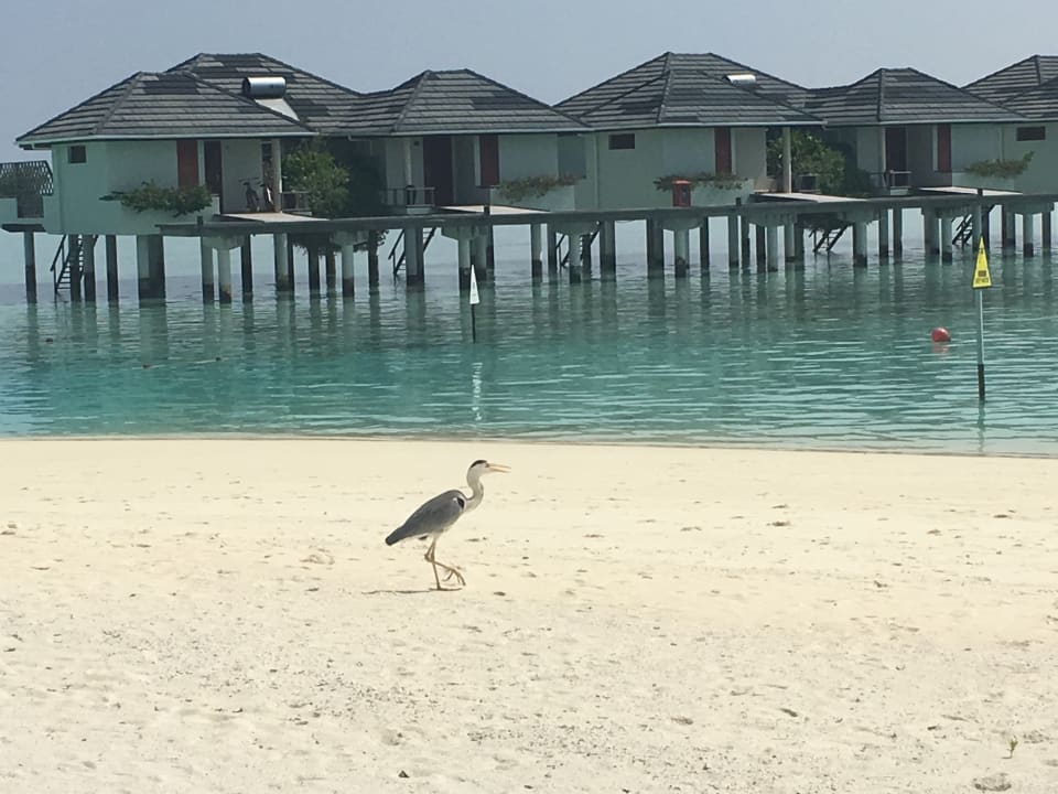 Strand Villa Park Sun Island