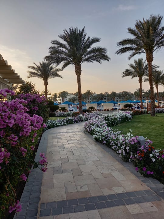 Gartenanlage Pickalbatros Dana Beach Resort - Hurghada