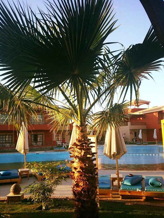 400. Pool Pickalbatros Alf Leila Wa Leila Resort - Neverland Hurghada