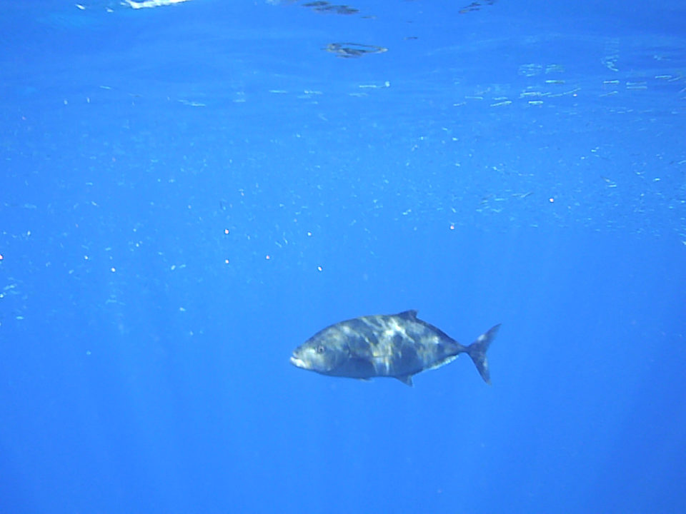 Ausblick Casa Mare Resort