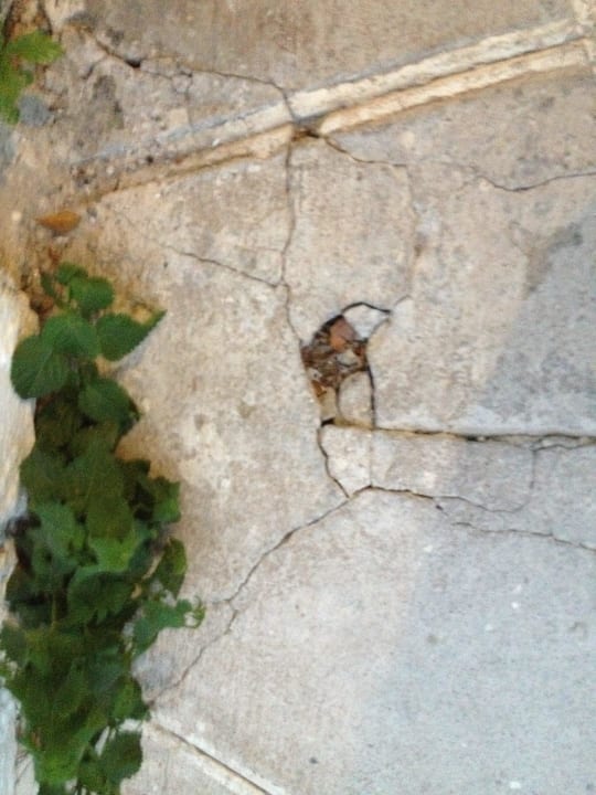 Hotel Lindos Village Lindos Village Resort & Spa - Adults only