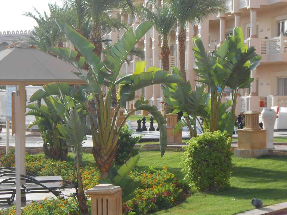 Gartenanlage Pickalbatros Palace Resort