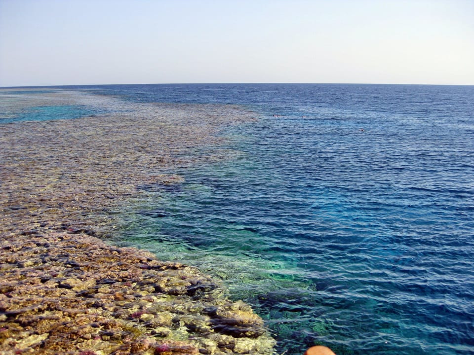 Aussenriff Hotel Gorgonia Beach Resort