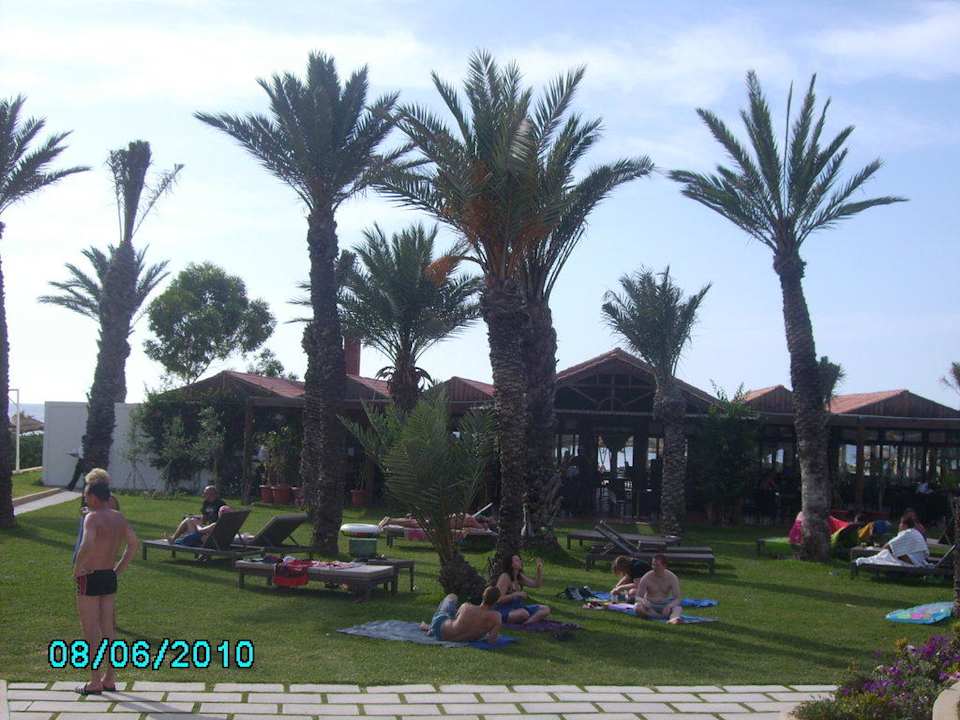 Liegewiese gleich an der Strandbar Hotel Rosa Beach