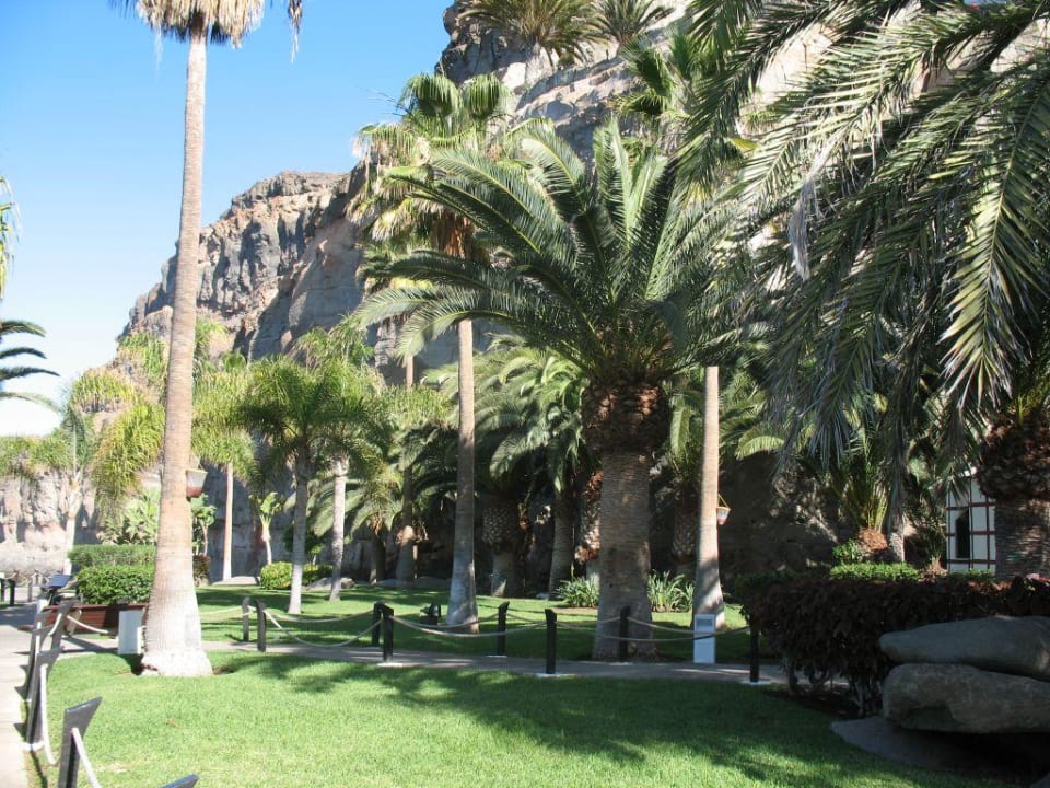 Garten Taurito Princess Princess Taurito