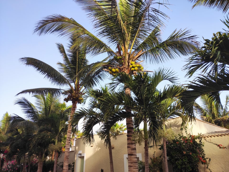 Gartenanlage VOI Praia De Chaves Resort