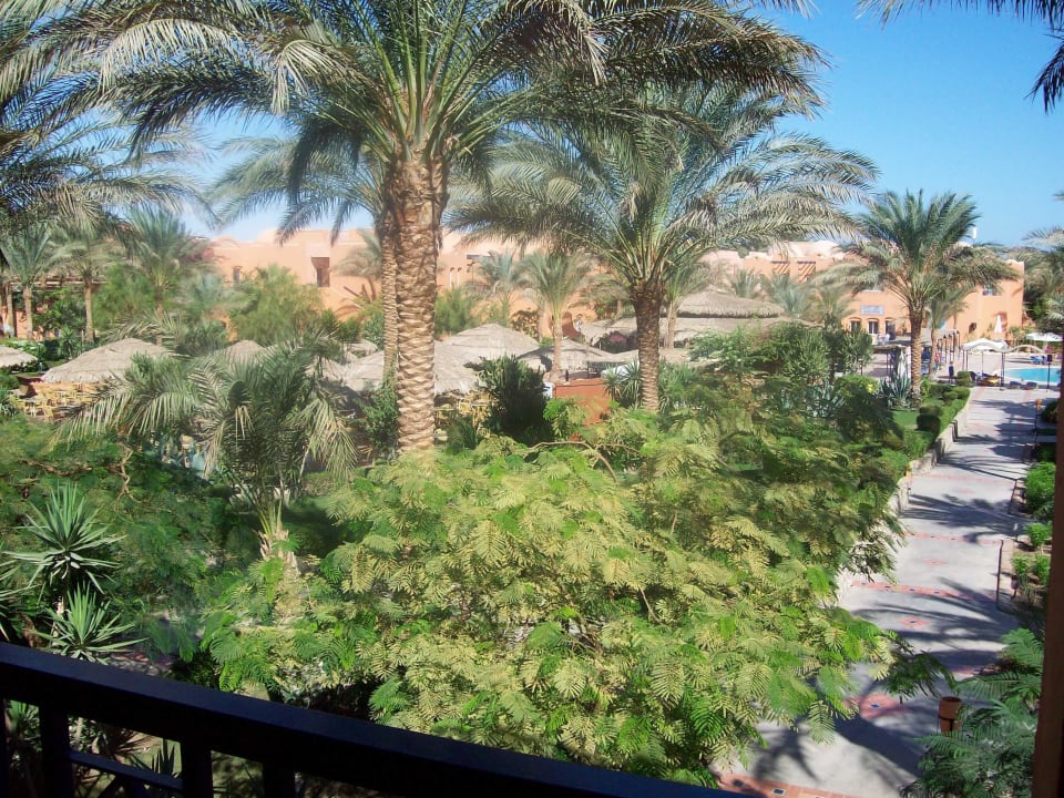 9 Uhr morgens Jaz Makadi Oasis Resort