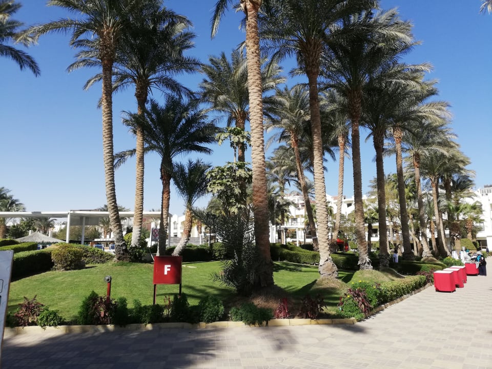 Strand Regina Resort and Aqua Park Hurghada