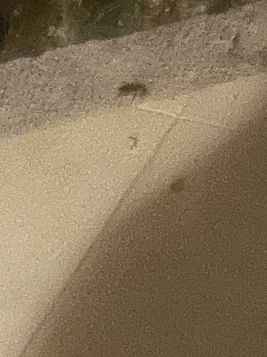 Sonstiges HL Miraflor Suites Hotel