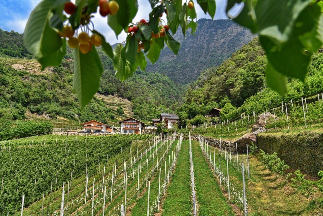 Außenansicht Residence Pension Blumenthalerhof