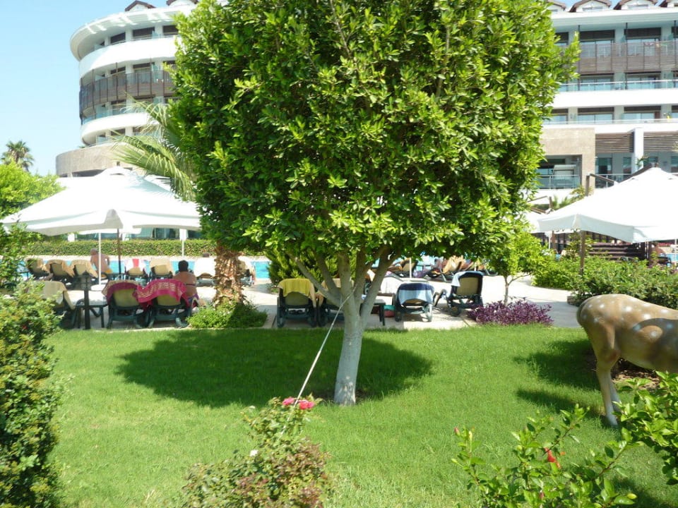 Teren wokół basenu Alba Queen Hotel