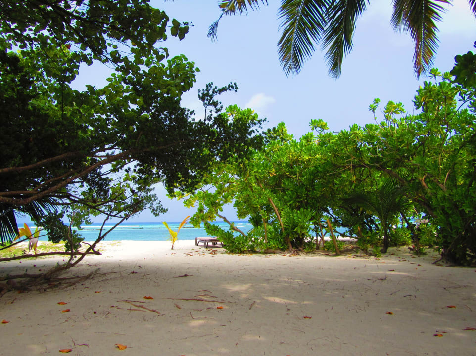 Blick vom Bungalow Kuredu Island Resort & Spa