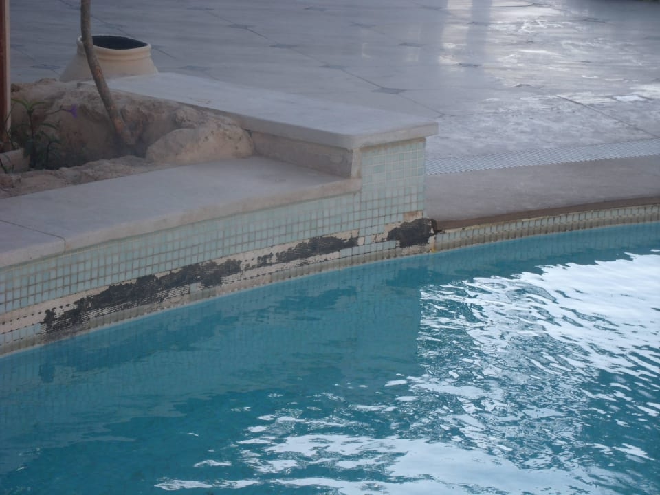 Pool Makadi Spa - Adults only