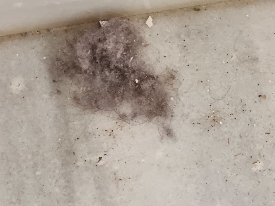 Zimmer Apartamentos Casablanca