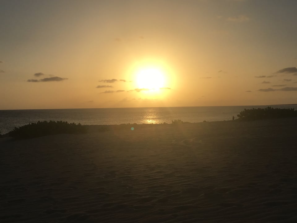 Traumhaft Hotel Riu Touareg