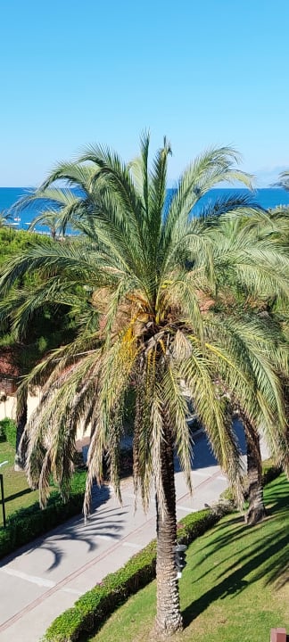 Ausblick Asteria Family Belek
