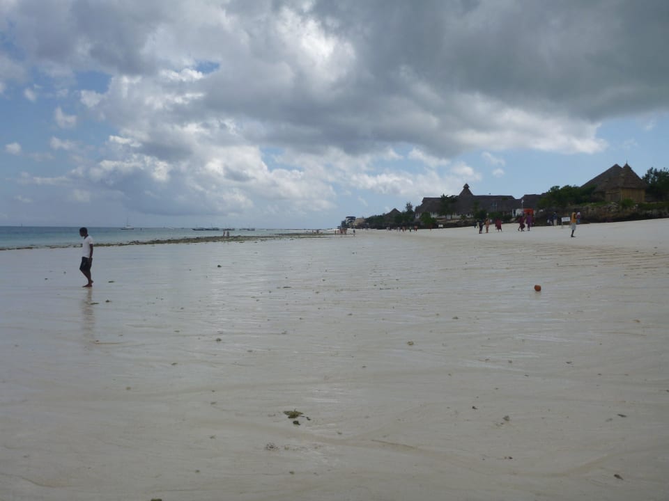 Strand bei Ebbe Royal Zanzibar Beach Resort
