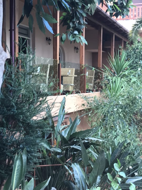 Gartenanlage Cactus Royal