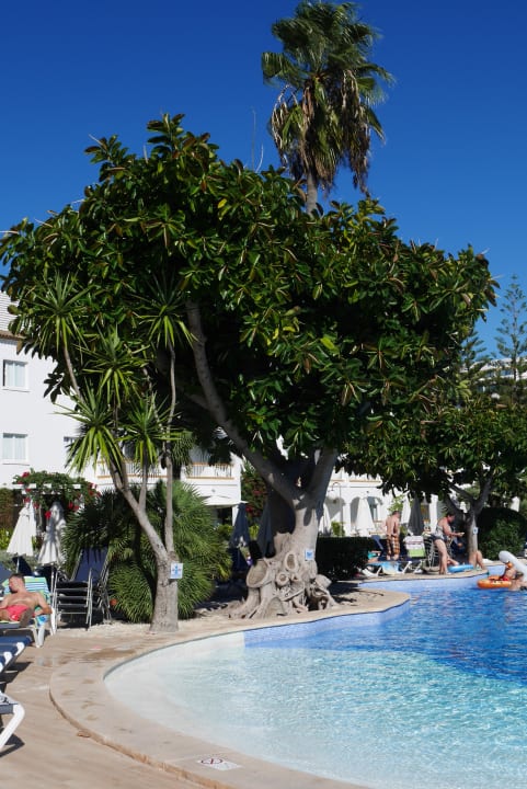 Gartenanlage Alcudia Garden Aparthotel