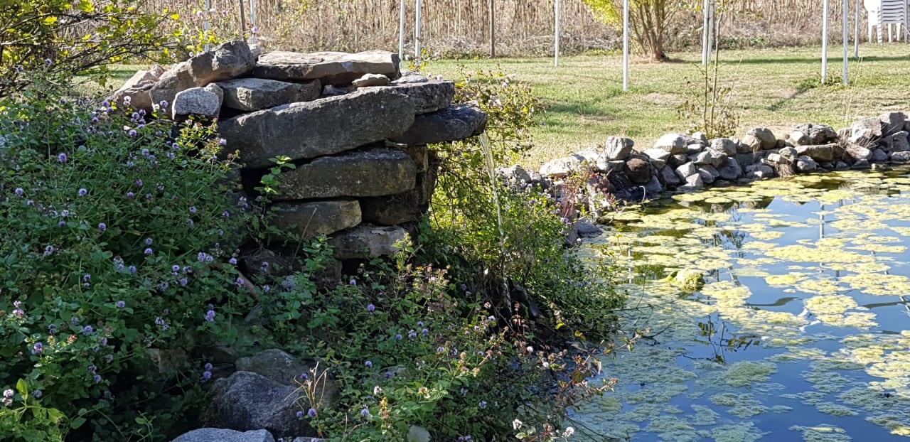 Gartenanlage Familien - und Waldhotel Villa Waldeck