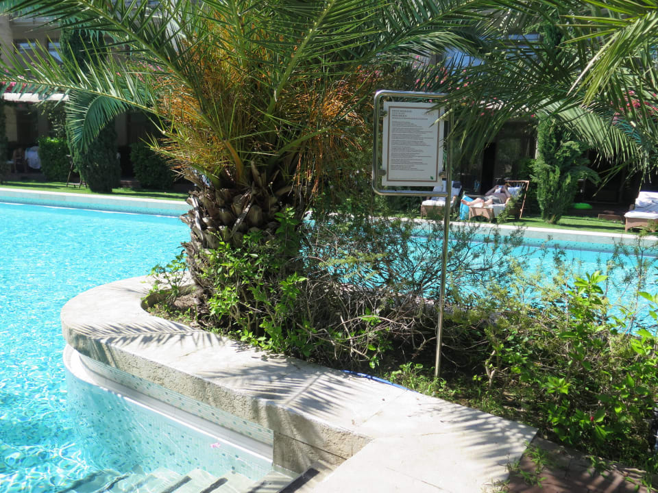 Pool mit Meerwasser Gloria Serenity Resort