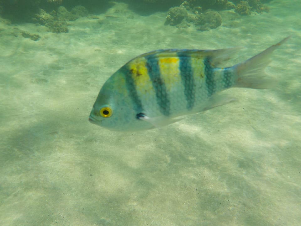 Sport & Freizeit Casa Mare Resort