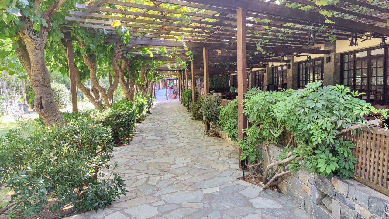 Gartenanlage Apollonia Beach Resort & Spa