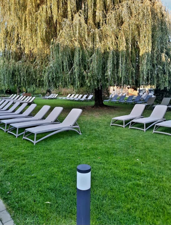 Gartenanlage See Park Janssen