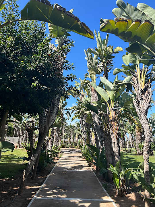 Gartenanlage ROBINSON AGADIR