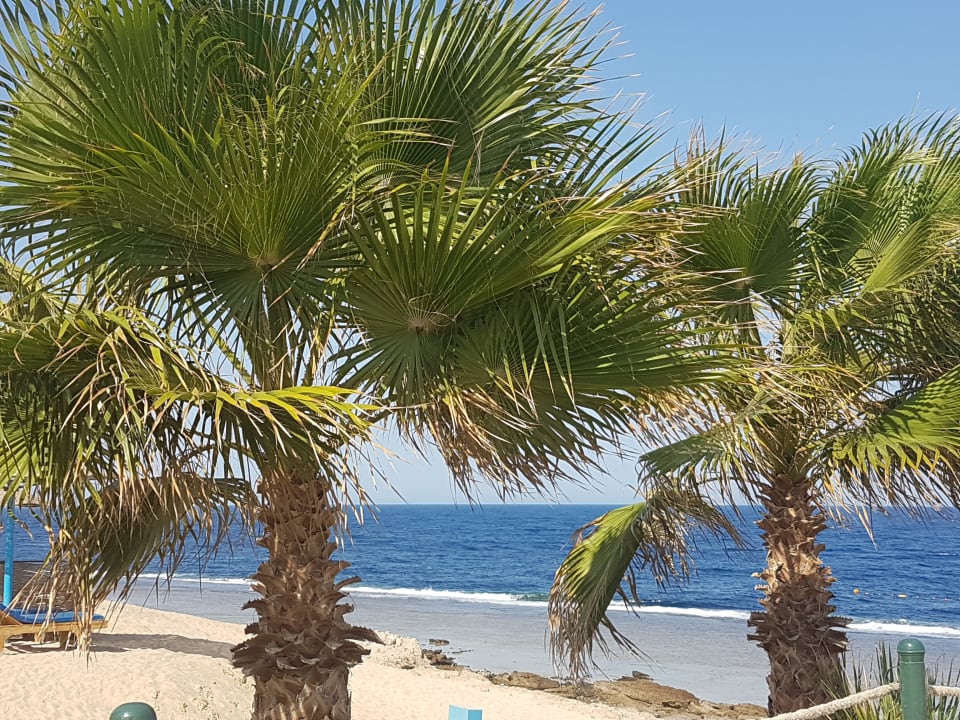 Außenansicht Sentido Akassia Beach