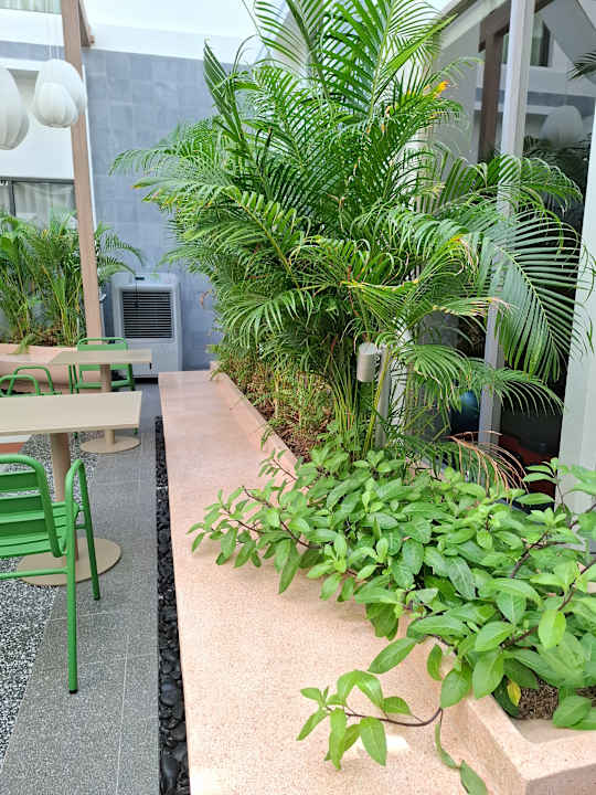 Gartenanlage ASAI Bangkok Chinatown