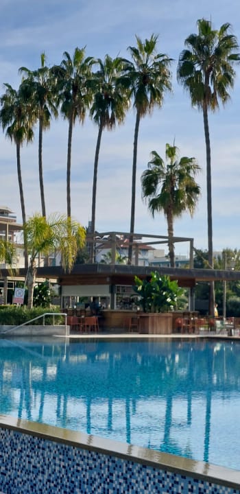 Gastro Acanthus Cennet Barut Collection