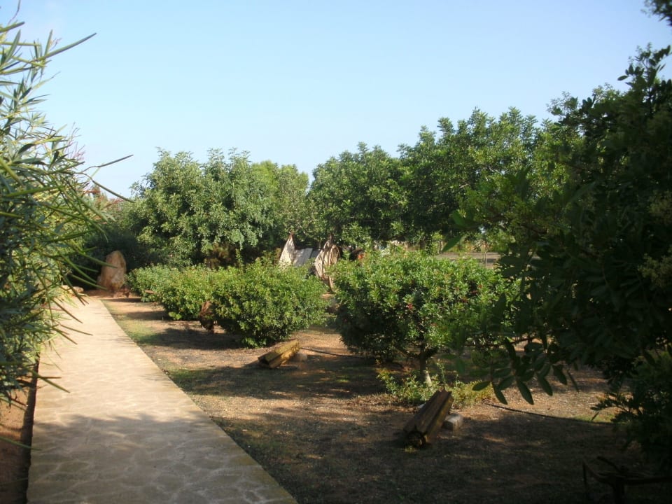 Weg zum Pool Finca Sa Carrotja - Adults only
