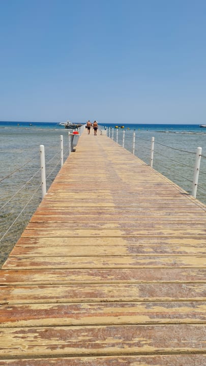 Strand Pickalbatros Palace Resort