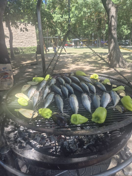 Gastro Hotel Borjana