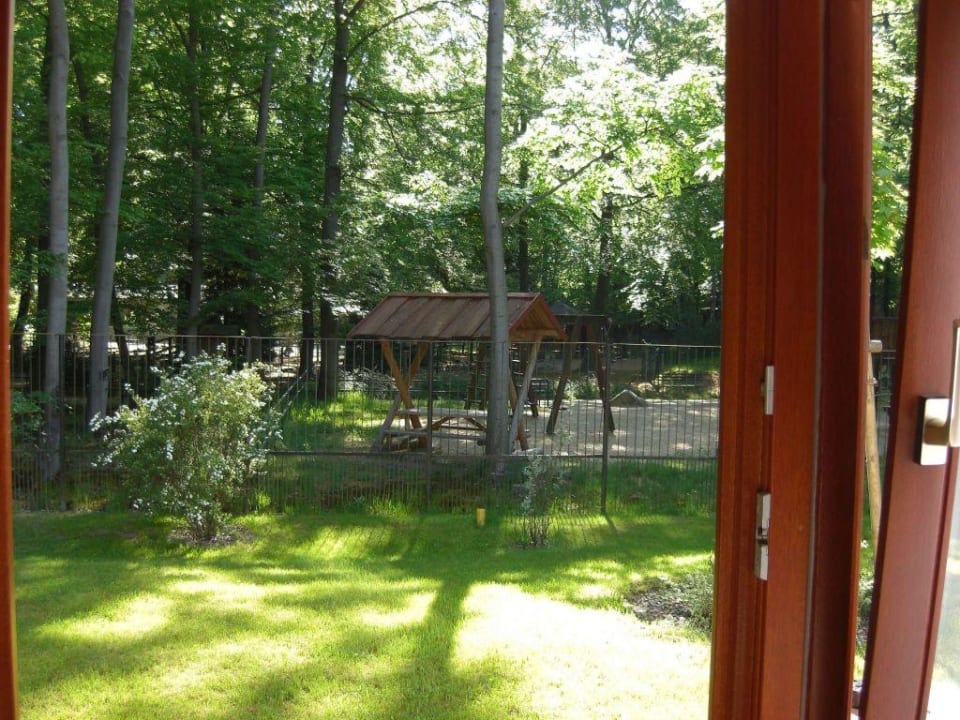 Blick aus Zimmer 4 Hotel Kleine Residenz am Tierpark