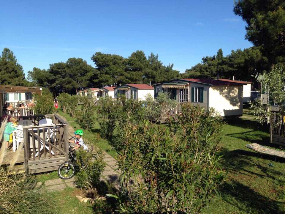 Blich in die Mitte... Arena Stupice Mobile Homes