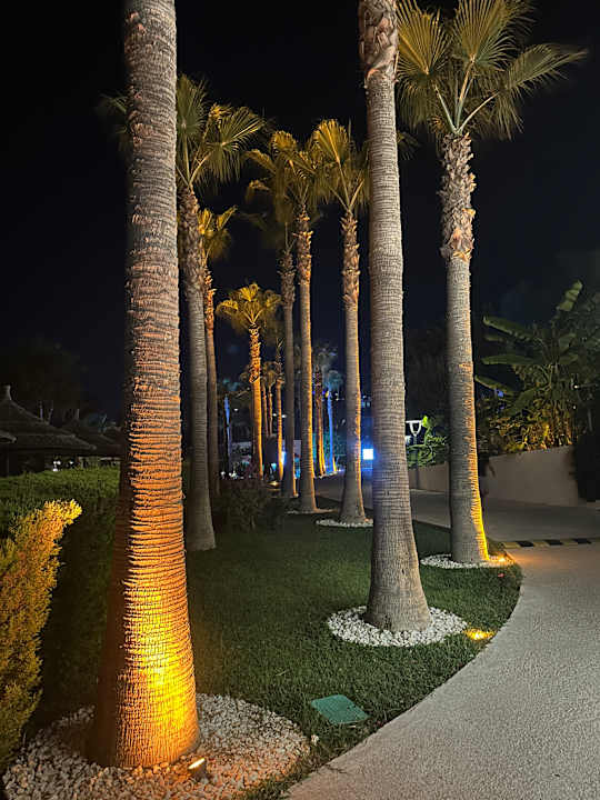 Ausblick TUI MAGIC LIFE Bodrum - Adult Only (16+)