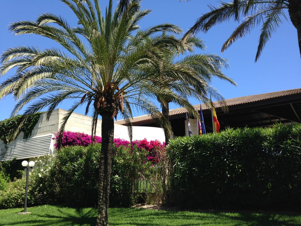 Gartenanlage Prinsotel La Dorada