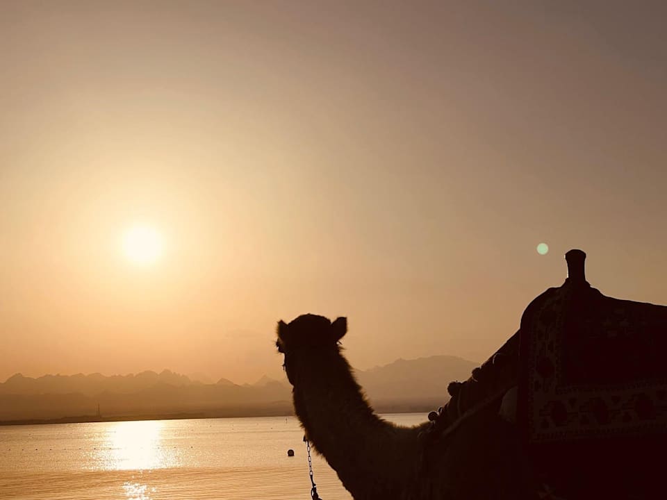 Strand ROBINSON SOMA BAY