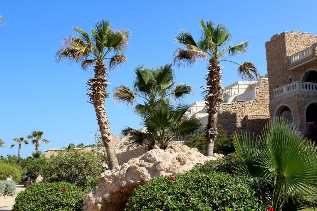 Около 5-го корпуса Pickalbatros Citadel Resort