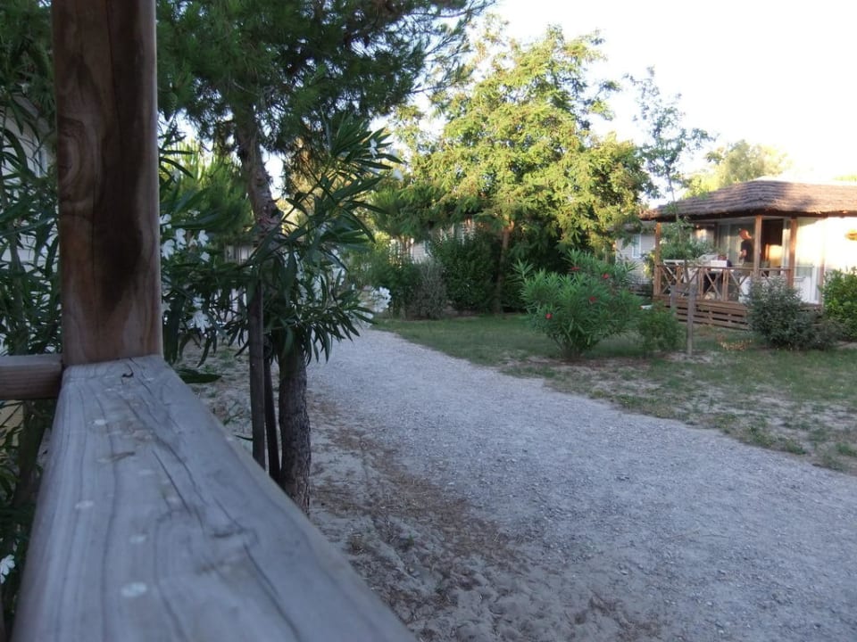 Blick von der Terrasse Yelloh Les Secrets De Camargue