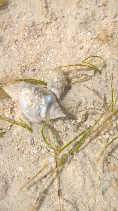 Strand Casa Mare Resort