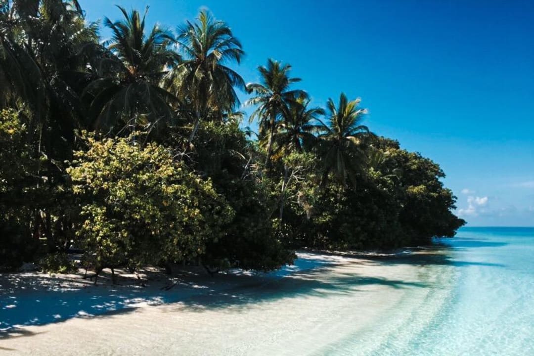 "Strand" vor den Premiumzimmern  Fihalhohi Maldives