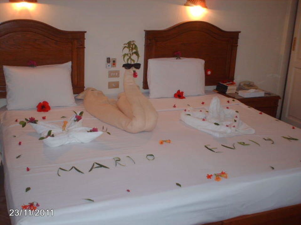 Bungalow Zimmer Shams Safaga Resort