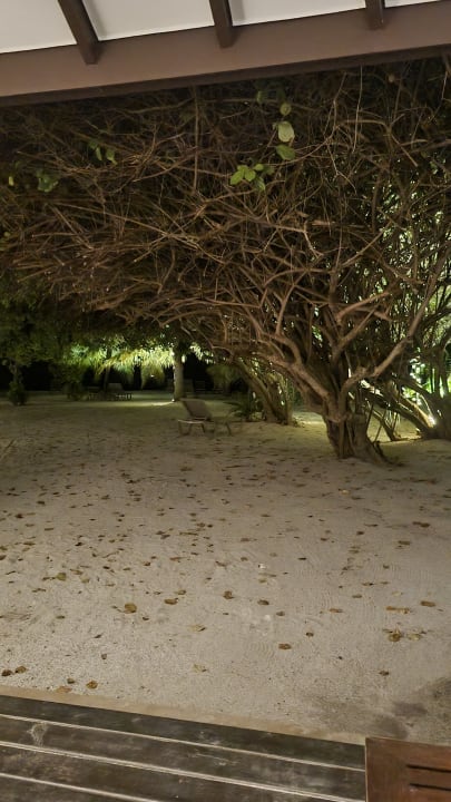 Ausblick Adaaran Select Meedhupparu Island Resort - Premium All Inclusive