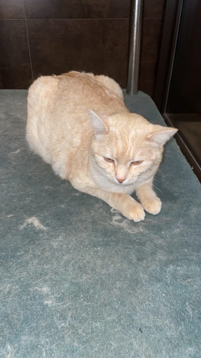 Außenansicht R2 Bahía Playa Design Hotel & Spa - Adults Only