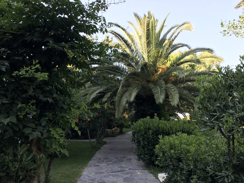 Gartenanlage Apollonia Beach Resort & Spa