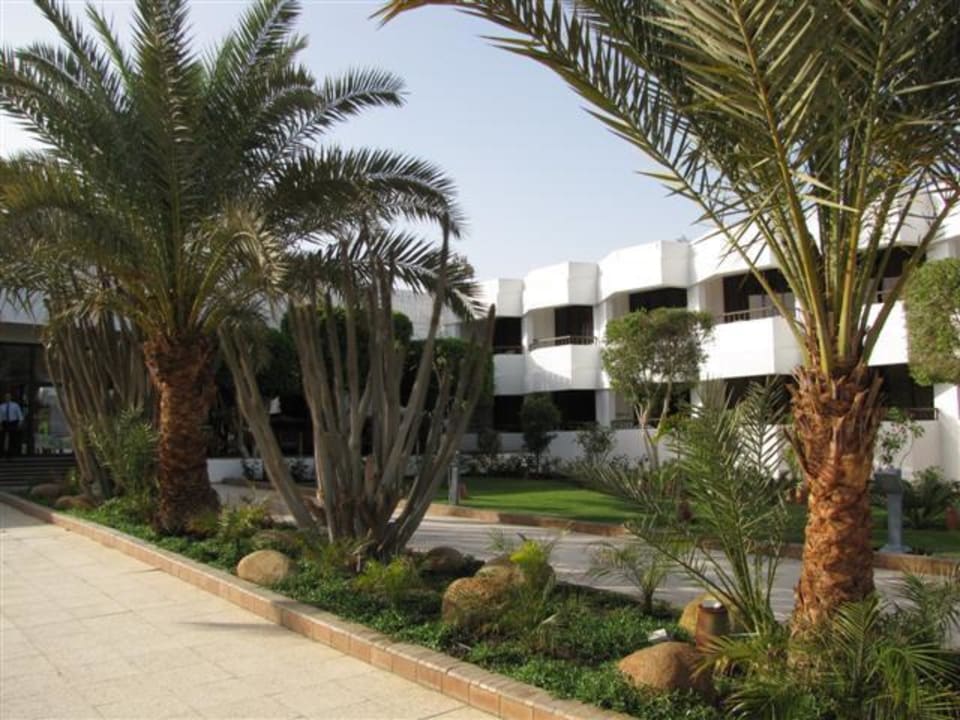 Zimmer im Haupthaus Ghazala Beach