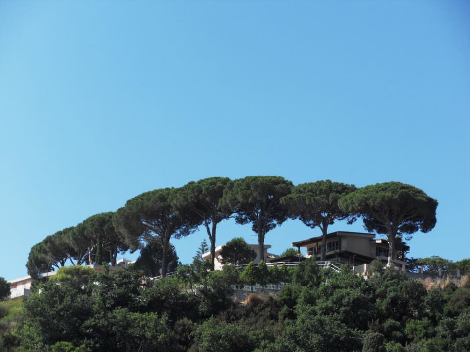 Aussicht ins Hinterland Ferienhaus Le Palme Garden